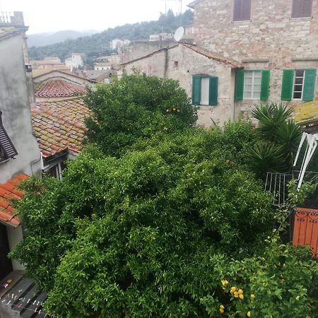 The 4 Senses Experience Villa Suvereto Bagian luar foto
